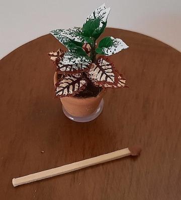 Miniatura papusi 1:12 Planta exotica in ghiveci ceramica